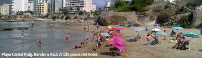 Haga click para ampliar la imagen
